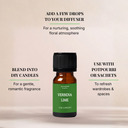 Verbena Lime Fragrance Oil (10ml)