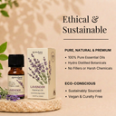 Lavender Pure Essential Oil