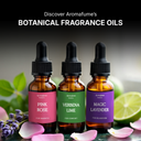 Magic Lavender Fragrance Oil (30ml)