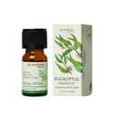 Eucalyptus Pure Essential Oil