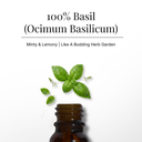 Basil Pure Essential Oil