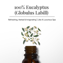Eucalyptus Pure Essential Oil
