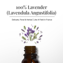 Lavender Pure Essential Oil