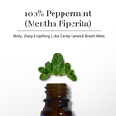 Peppermint Pure Essential Oil