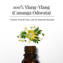 Ylang Ylang Pure Essential Oil