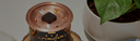 SMOKELESS INCENSE