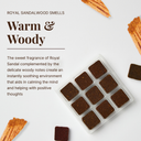 Botanico Incense Bricks & Burner Display Set