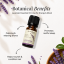 Lavender Pure Essential Oil