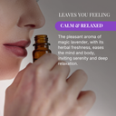 Magic Lavender Fragrance Oil (30ml)