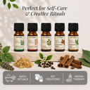 Clove Pure Essential Oil
