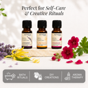 Geranium Pure Essential Oil