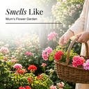 Geranium Pure Essential Oil