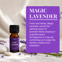 Magic Lavender Fragrance Oil (10ml)